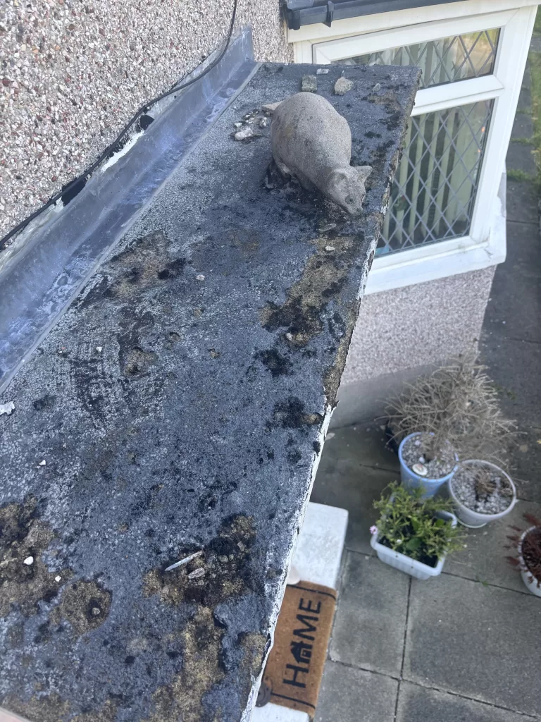 porch flat roof repair in morecambe